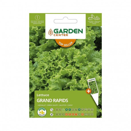 SEEDING LETTUCE SEEDS GRAND RAPIDS