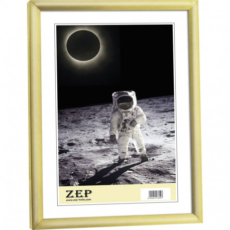 ZEP New Easy gold          10x15 Resin Frame KG1