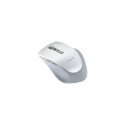Asus | WT425 | wireless | Wireless Optical Mouse | Pearl, White