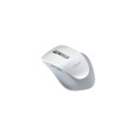 Asus | WT425 | wireless | Wireless Optical Mouse | Pearl, White