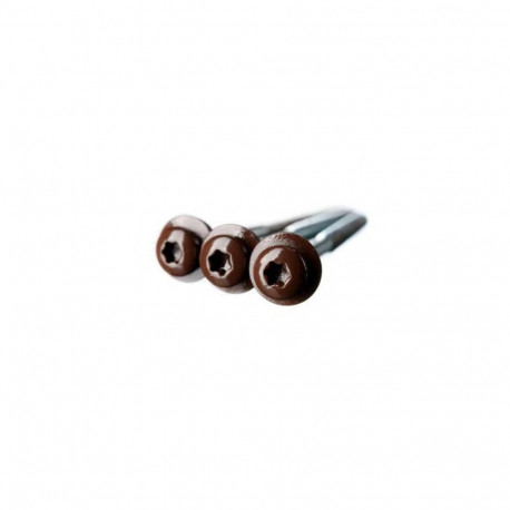 SCREW BROWN 6X100 (100)