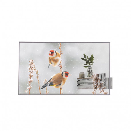 LG infomonitor 55EW5P 55" horisontaalne/vertikaalne 18/7 webOS läbipaistev 600cd/m² 8ms 178°/178°