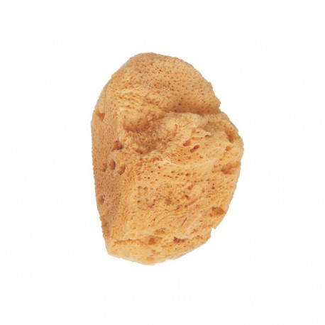 BETER merikäsn naturaalne 1tk