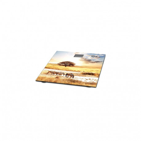 Muhler MSC-3077 SAVANNAH Bathroom Scale