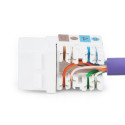 Class E CAT 6 Keystone Jack | DN-93601 | Unshielded RJ45 to LSA | Cable installation via LSA strips,