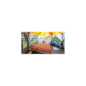 Coleman Cortes Octagon 8 Grey, Orange