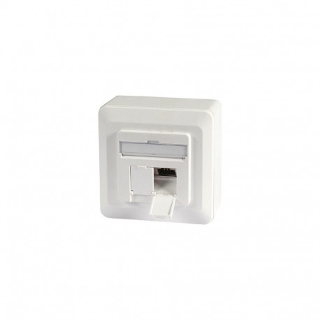 Andmepesa Cat.6A 500MHz pinnapealne 2xRJ45 üles/alla, valge