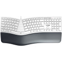 Cherry KC 4500 ERGO (white, DE layout)