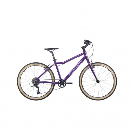 Ülikerge laste jalgratas ACADEMY Grade 5, 24" Purple