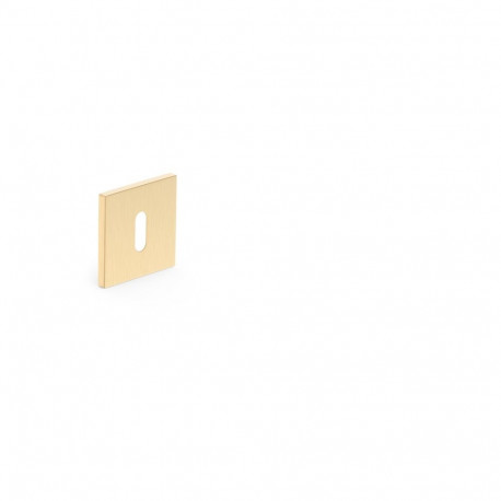 ESCHUTCHEON FOR KEY GOLD