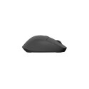 Computer Mouse - Natec Kite Wireless Mouse 4000 DPI 9 Buttons Black