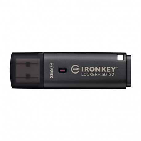 Kingston MEMORY DRIVE FLASH USB3.2/256GB IKLP50G2/256GB