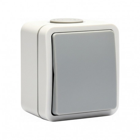 2410-50-0004 pinnapealne veksellüliti IP54 250V 10A IK05