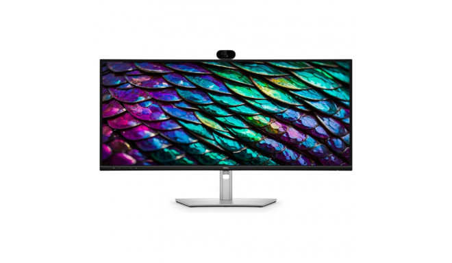 Dell kumer konverentsimonitor P3426WEB 86,6cm (34")