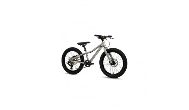 Batch Bicycles 20" MTB SILVER