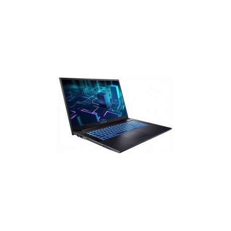 CAPTIVA Power Starter I76-095 Intel® Core™ i7 i7-1255U Laptop 43.9 cm (17.3") Full HD 32 GB