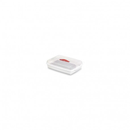 CONTAINER LARGE RECTANGULAR