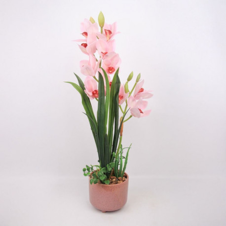Orchid GARDEN QUEEN H70cm, light pink