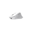 Trust Niven mouse Office Right-hand RF Wireless + Bluetooth 3200 DPI