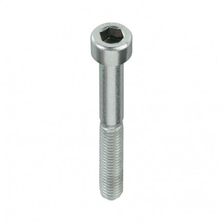 poldid DIN912 M6X45 ZN (100)