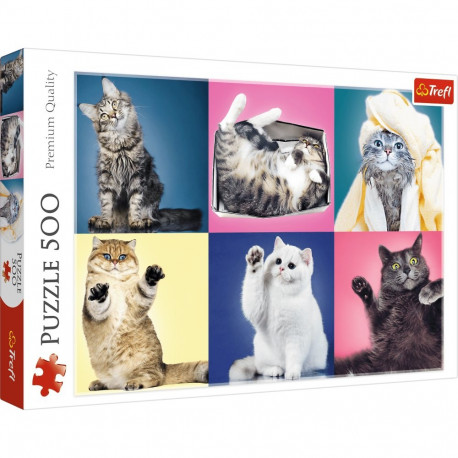 TREFL puzzle Kittens 500 pcs