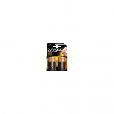 Duracell MN 1300 Basic D (LR20) blister pack 2pcs
