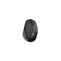 Mouse Kite wireless silent