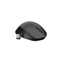 Mouse Kite wireless silent