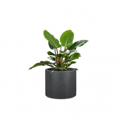 FLOWERPOT PLAS 130/30 SCHWARZ-GRANIT D30