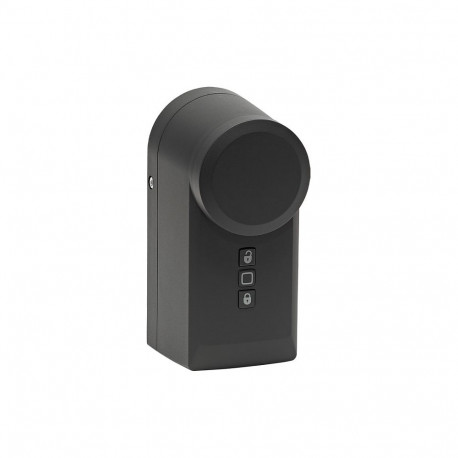 Homematic IP ukseluku ajam, antratsiit