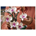 "LEGO Creator Botanicals Collection Orchidee 10311"