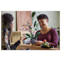"LEGO Creator Botanicals Collection Orchidee 10311"