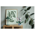 "LEGO Creator Botanicals Collection Orchidee 10311"