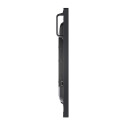 NEC infoekraan MultiSync P495 P Series 124.5cm (49") LED-taustvalgustusega LCD