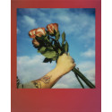 Polaroid Go Gradient Frame 2-pack
