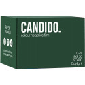 Candido film Colour 400/36