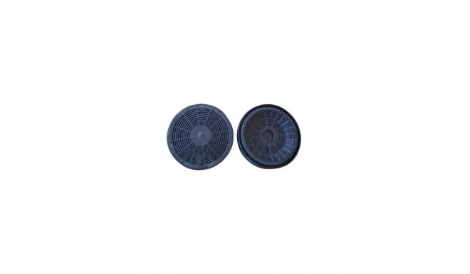 CARBON FILTER