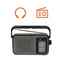 Raadio Manta MARDI919BK