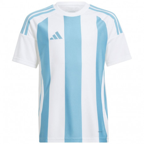 Adidas laste särk Striped 24 Jersey IW2137 152cm, valge-helesinine