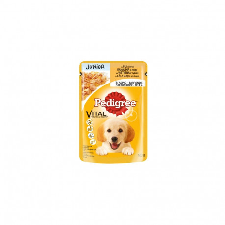 Junior koeraeine PEDIGREE kutsikatele kanalihaga tarrendis, 100 g