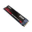 EMTEC SSD Power Plus X250 M.2 256GB