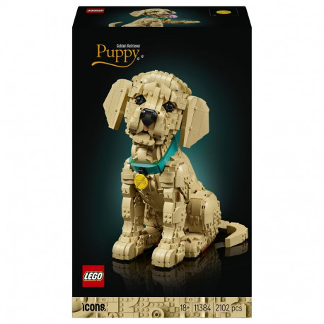 Icons Golden Retriever kutsikas 11384