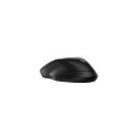 HP 255 Dual Wireless Mouse