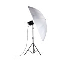 Nanlite Umbrella Shallow Translucent 180cm