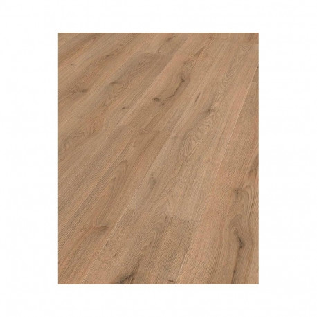 Rõngas taimetugi D25CM 10PCS