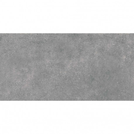 TILE PORTLAND GRIS MATE 60X120 (1.44)