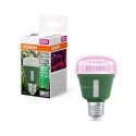 BULB LED E27 T60 10W 230V PLANTS