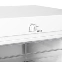 FREEZER HS-208FN(J) WHITE STD