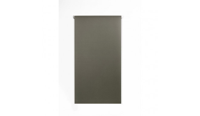 RAINBOW 228 ruloo 60x220 pruun
