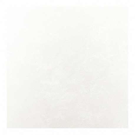 PAINT DECOR JEGER SAHARA NICOLA 1L